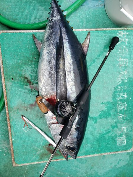 丸万釣船 釣果