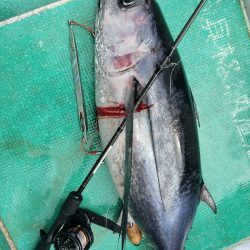 丸万釣船 釣果
