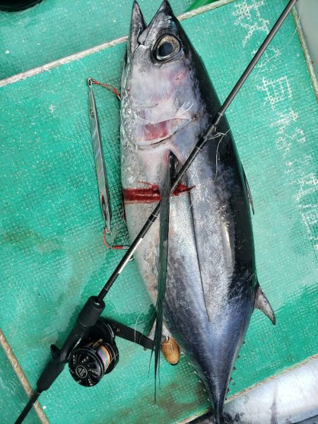 丸万釣船 釣果