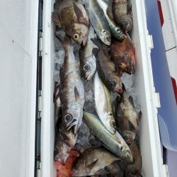 海龍丸（石川） 釣果