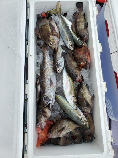 海龍丸（石川） 釣果