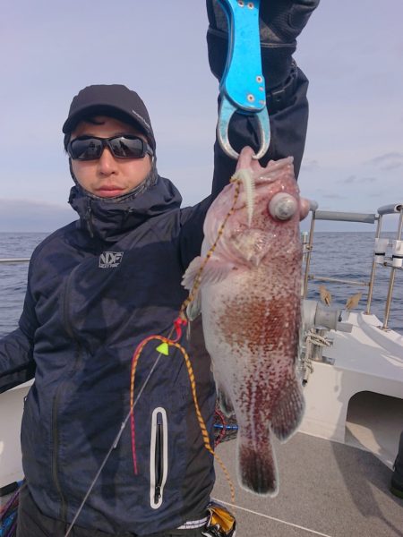 ARCADIAⅡ （アルカディアⅡ） 釣果