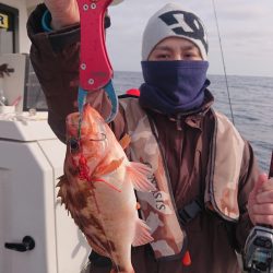 ARCADIAⅡ （アルカディアⅡ） 釣果