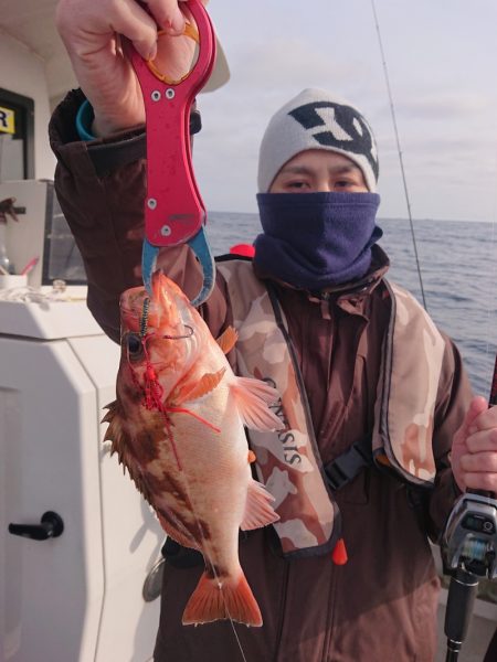 ARCADIAⅡ （アルカディアⅡ） 釣果