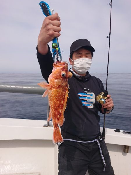 ARCADIAⅡ （アルカディアⅡ） 釣果