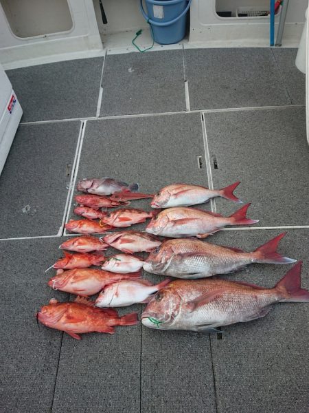 ARCADIAⅡ （アルカディアⅡ） 釣果…