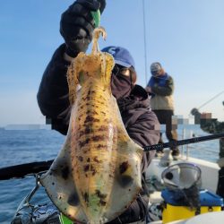 ソルトウォーターガイドフレンズ 釣果