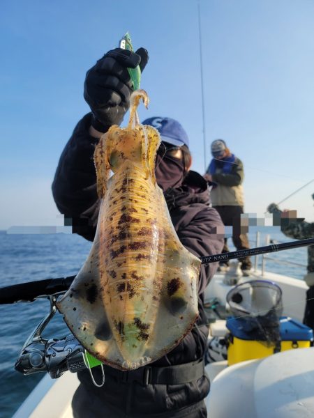 ソルトウォーターガイドフレンズ 釣果