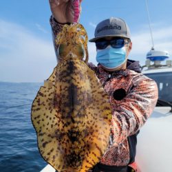 ソルトウォーターガイドフレンズ 釣果