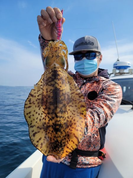 ソルトウォーターガイドフレンズ 釣果