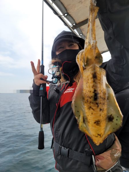 ソルトウォーターガイドフレンズ 釣果