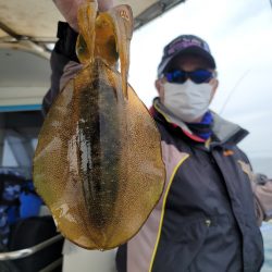 ソルトウォーターガイドフレンズ 釣果