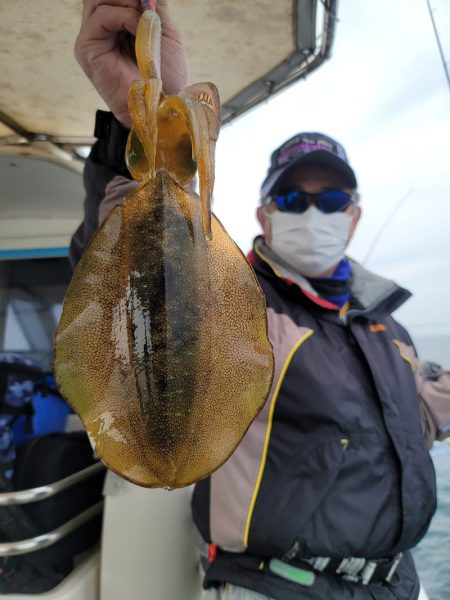 ソルトウォーターガイドフレンズ 釣果