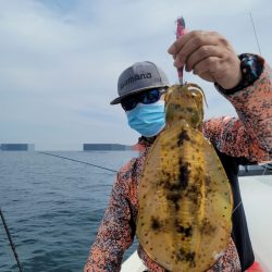 ソルトウォーターガイドフレンズ 釣果