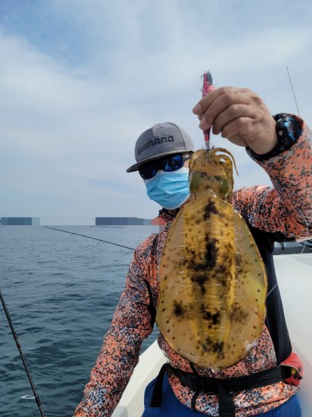 ソルトウォーターガイドフレンズ 釣果