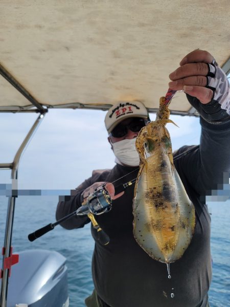 ソルトウォーターガイドフレンズ 釣果