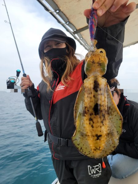 ソルトウォーターガイドフレンズ 釣果