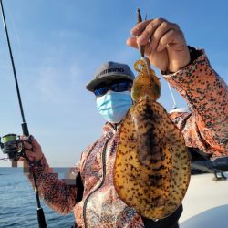 ソルトウォーターガイドフレンズ 釣果