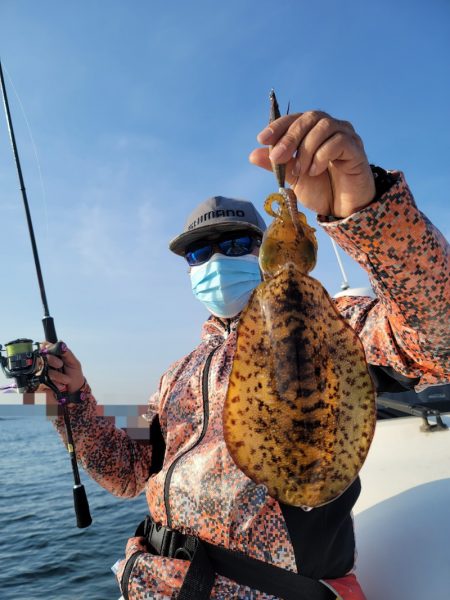 ソルトウォーターガイドフレンズ 釣果