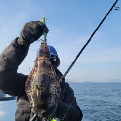 ソルトウォーターガイドフレンズ 釣果