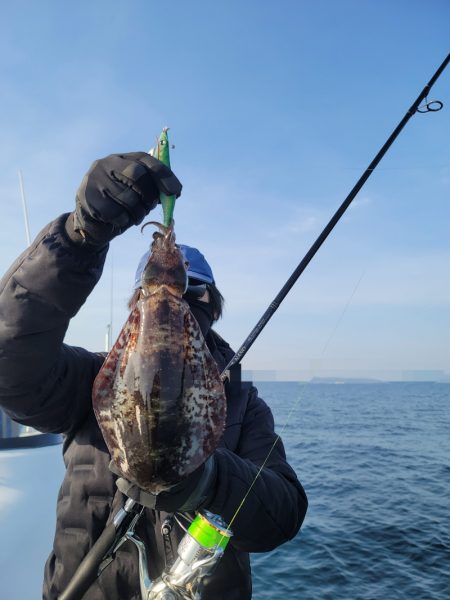 ソルトウォーターガイドフレンズ 釣果