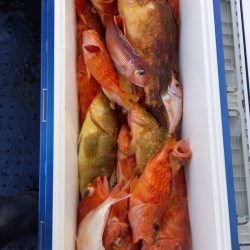 第二龍勢丸 釣果