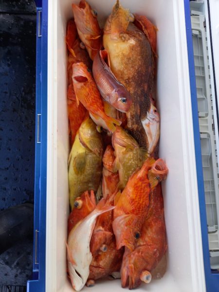 第二龍勢丸 釣果