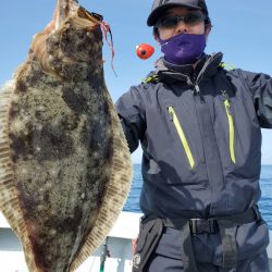 シーライオン 釣果