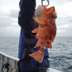 一華丸 釣果