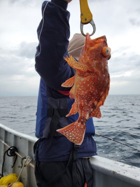 一華丸 釣果
