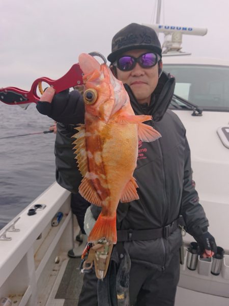 ARCADIAⅡ （アルカディアⅡ） 釣果