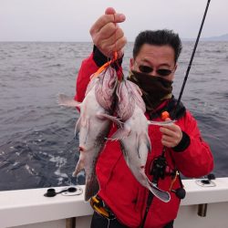 ARCADIAⅡ （アルカディアⅡ） 釣果