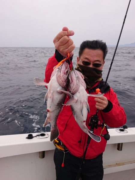 ARCADIAⅡ （アルカディアⅡ） 釣果