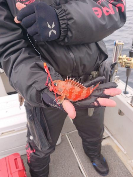 ARCADIAⅡ （アルカディアⅡ） 釣果