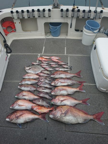 ARCADIAⅡ （アルカディアⅡ） 釣果