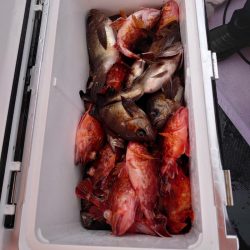 海龍丸（石川） 釣果