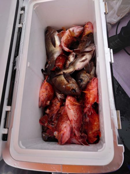 海龍丸（石川） 釣果