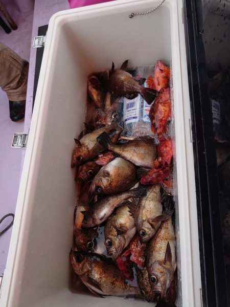 海龍丸（石川） 釣果