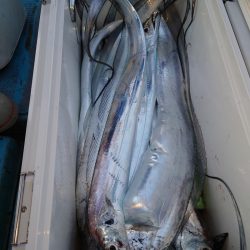 シースナイパー海龍 釣果