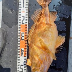 第二龍勢丸 釣果