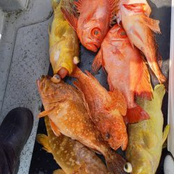 第二龍勢丸 釣果