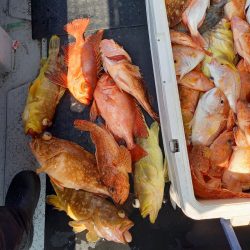 第二龍勢丸 釣果