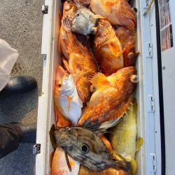 第二龍勢丸 釣果