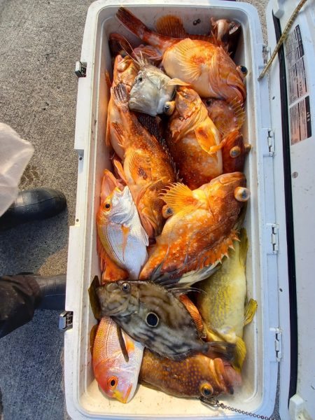 第二龍勢丸 釣果