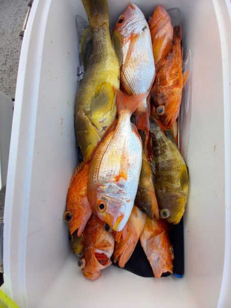 第二龍勢丸 釣果