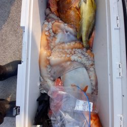 第二龍勢丸 釣果