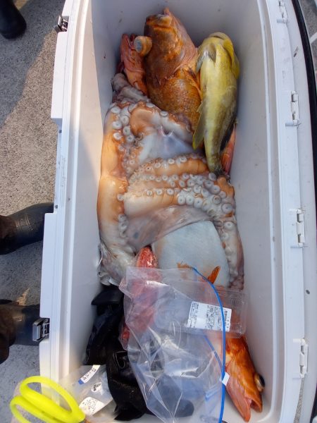 第二龍勢丸 釣果