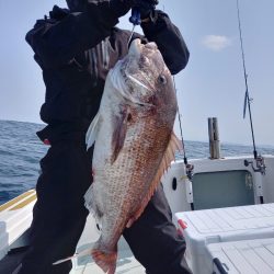 アマテラス 釣果