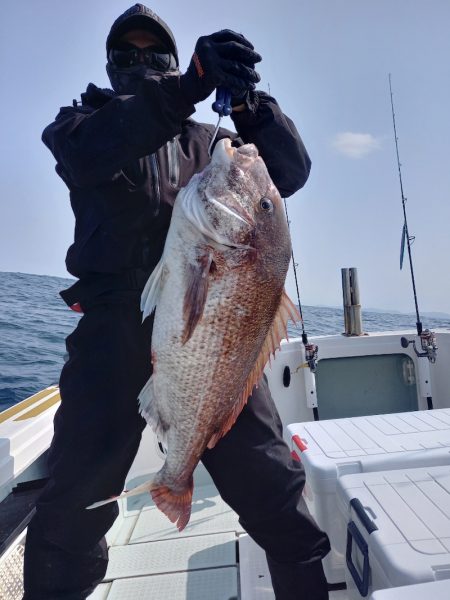 アマテラス 釣果