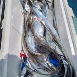 シースナイパー海龍 釣果